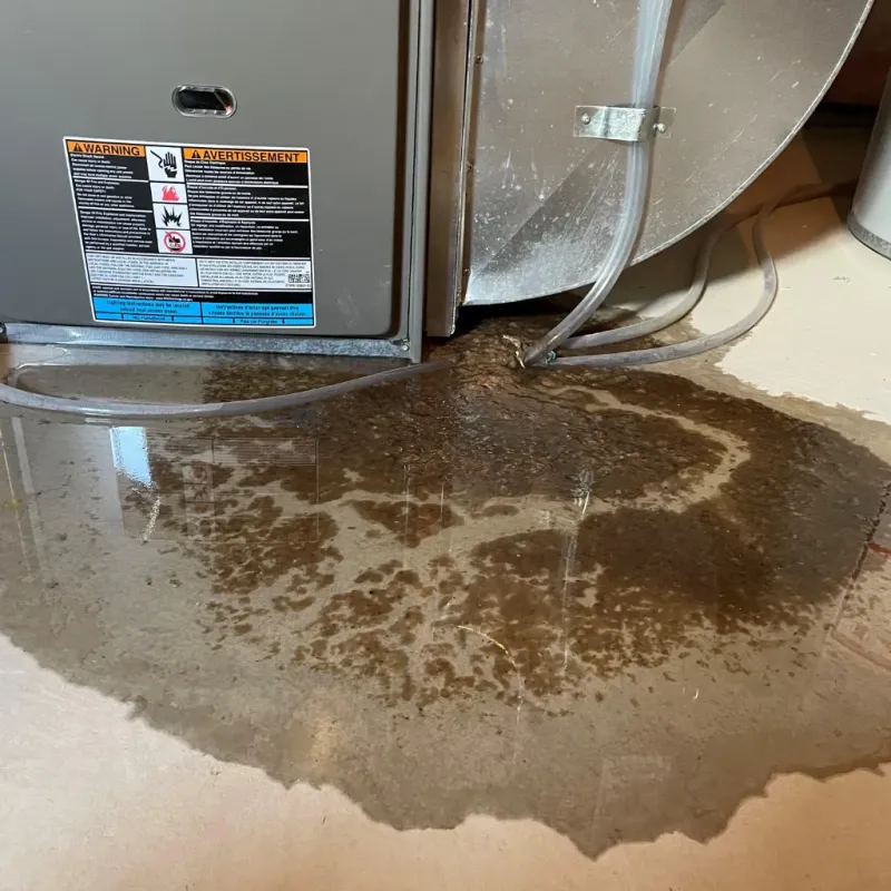Appliance Leak Cleanup in Sonora, TX