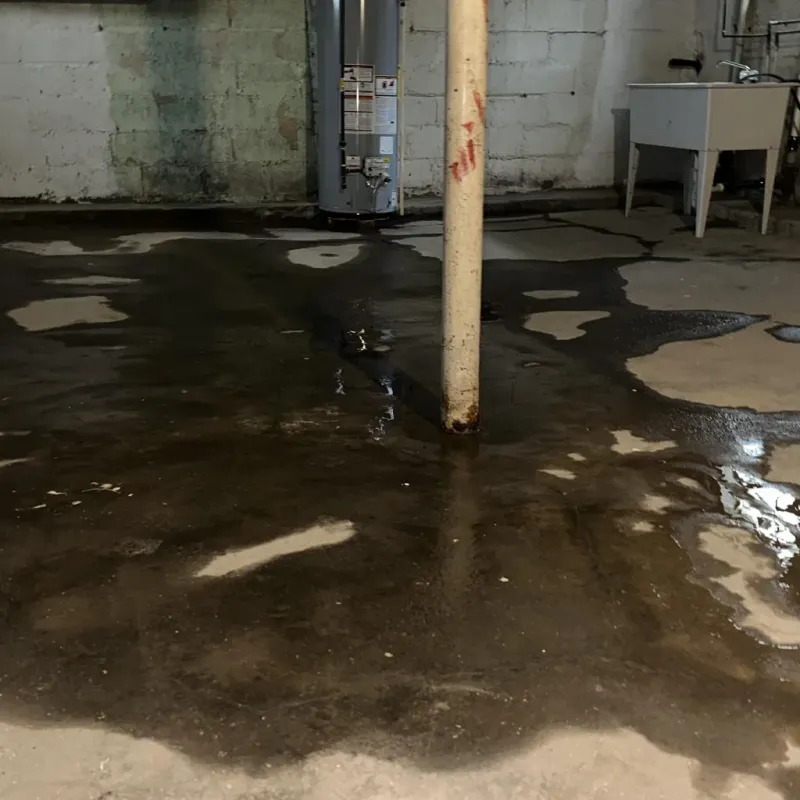 Emergency Water Extraction And Removal in Sonora, TX